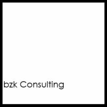 bzk-Consulting